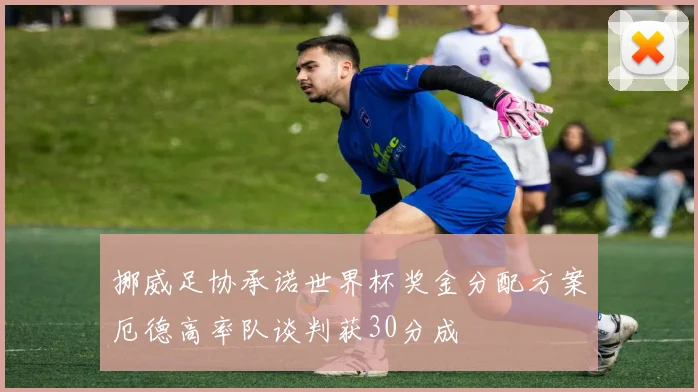 挪威足协承诺世界杯奖金分配方案厄德高率队谈判获30分成
